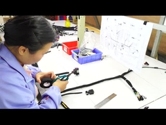 Haz de cables modificada para requisitos particulares